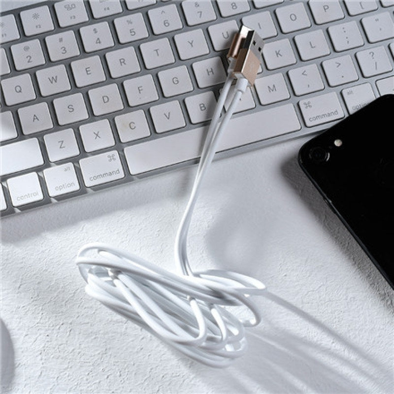 2m Long 2A Aluminum Alloy Type-C Data Cable (Gold)