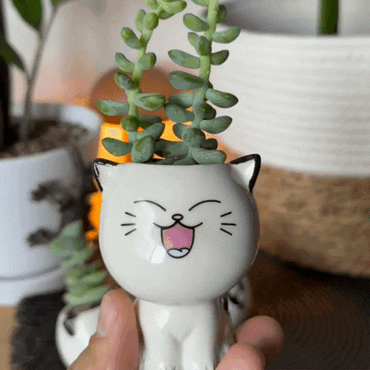 Cute Cat Ceramic Planter Pot – Kawaii Cartoon Cat Flower Pot for Home & Desk Decor