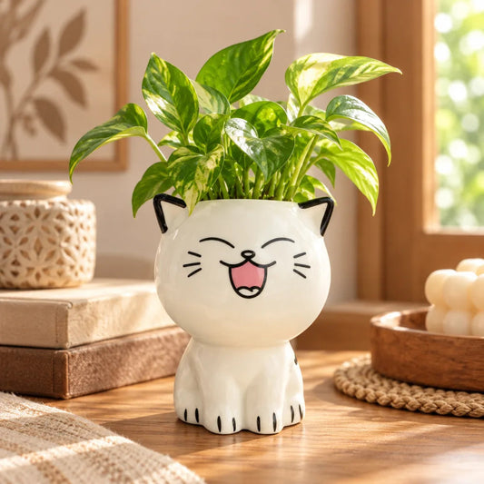 Cute Cat Ceramic Planter Pot – Kawaii Cartoon Cat Flower Pot for Home & Desk Decor