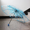 New Flower Print Transparent Umbrella