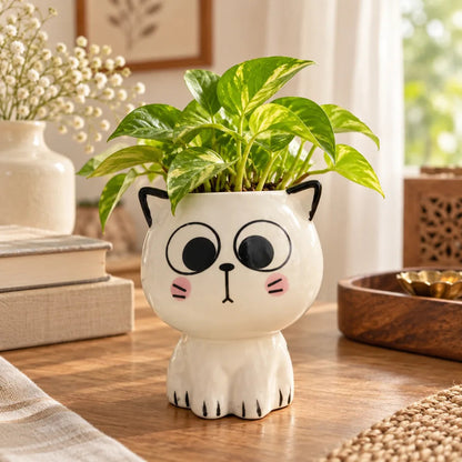 Cute Cat Ceramic Planter Pot – Kawaii Cartoon Cat Flower Pot for Home & Desk Decor